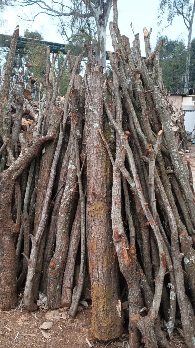 食用菌木屑云南发货不含油脂芳香树种品质好价格便宜