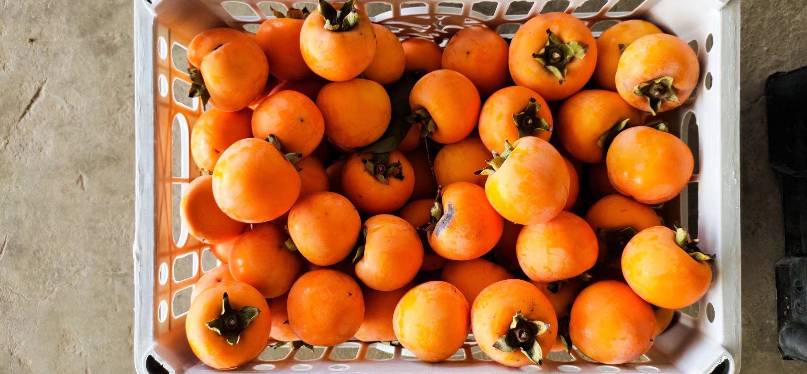 金黄诱人的柿饼整齐摆放在竹篮中,表面覆盖一层自然形成的白霜 柿饼成品展示