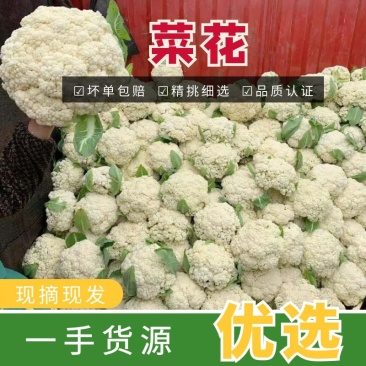 【有机花菜】有机花莱小米粒松花私产产地直发量大优惠电联