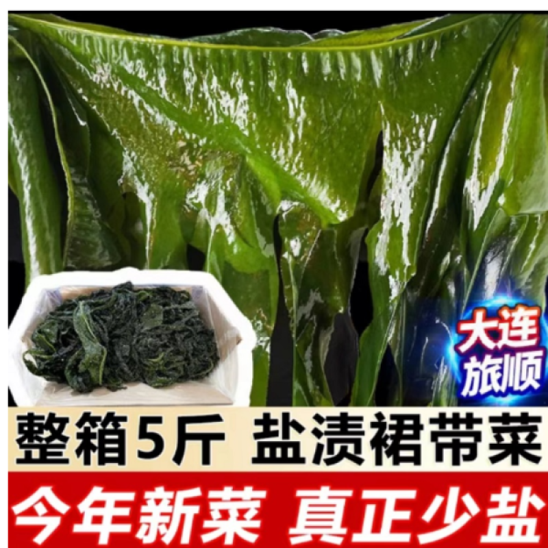 盐渍裙带菜5斤/箱少盐多菜鲜藻类商用食材厂家批发量大从优