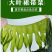 盐渍裙带菜5斤/箱少盐多菜鲜藻类商用食材厂家批发量大从优