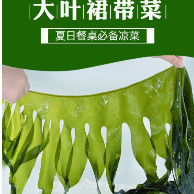 盐渍裙带菜5斤/箱少盐多菜鲜藻类商用食材厂家批发量大从优