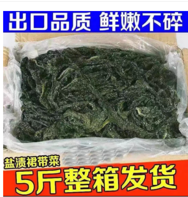 盐渍裙带菜5斤/箱少盐多菜鲜藻类商用食材厂家批发量大从优