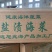 盐渍裙带菜5斤/箱少盐多菜鲜藻类商用食材厂家批发量大从优