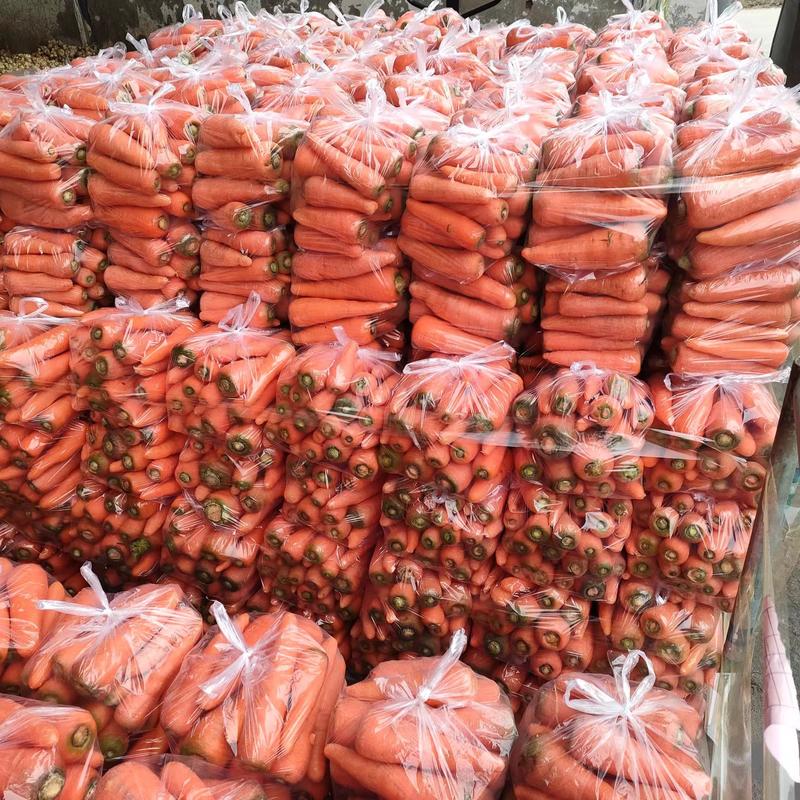 精品江苏三红胡萝卜一手货源按需包装可对接商超市场