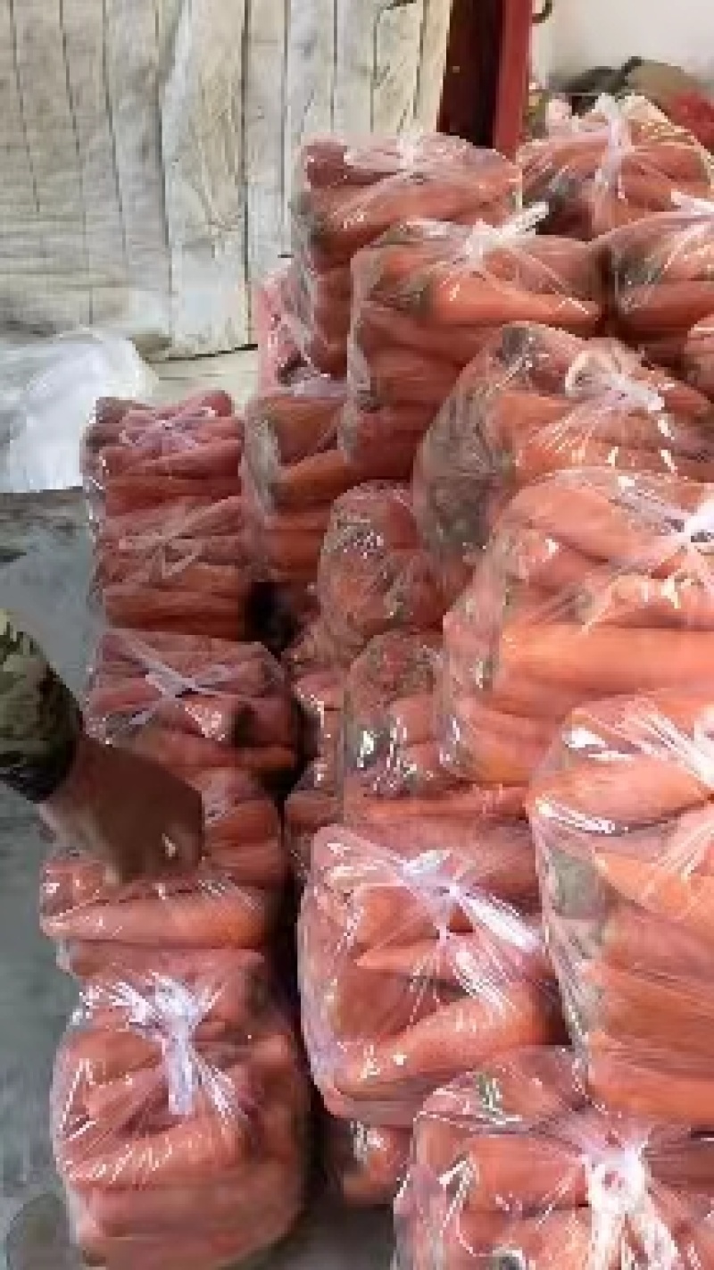 精品江苏三红胡萝卜一手货源按需包装可对接商超市场