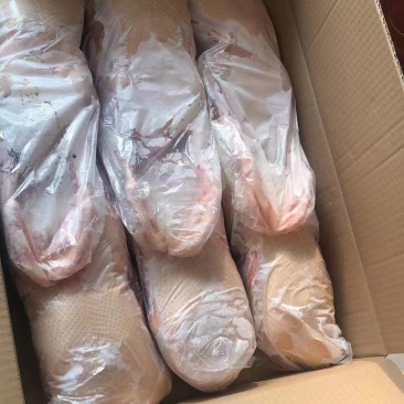 雁鹅，雁鹅白条，白条鹅，规格齐全，欢迎咨询，量大优惠