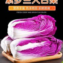 新鲜紫白菜韩国韩裔白菜酒店配菜沙拉专用特菜生吃拌菜