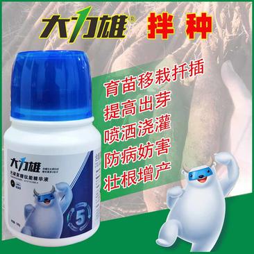 百部生根壮苗僵薯僵苗黄叶天冬五指毛桃党参药材大力雄叶面肥