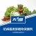 百部生根壮苗僵薯僵苗黄叶天冬五指毛桃党参药材大力雄叶面肥