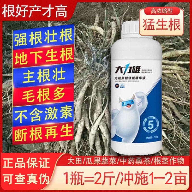 鱼腥草快速生根剂增嫩白折耳根催芽壮根增粗脆嫩早上市冲施肥