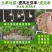 鱼腥草快速生根剂增嫩白折耳根催芽壮根增粗脆嫩早上市冲施肥