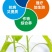 鱼腥草快速生根剂增嫩白折耳根催芽壮根增粗脆嫩早上市冲施肥