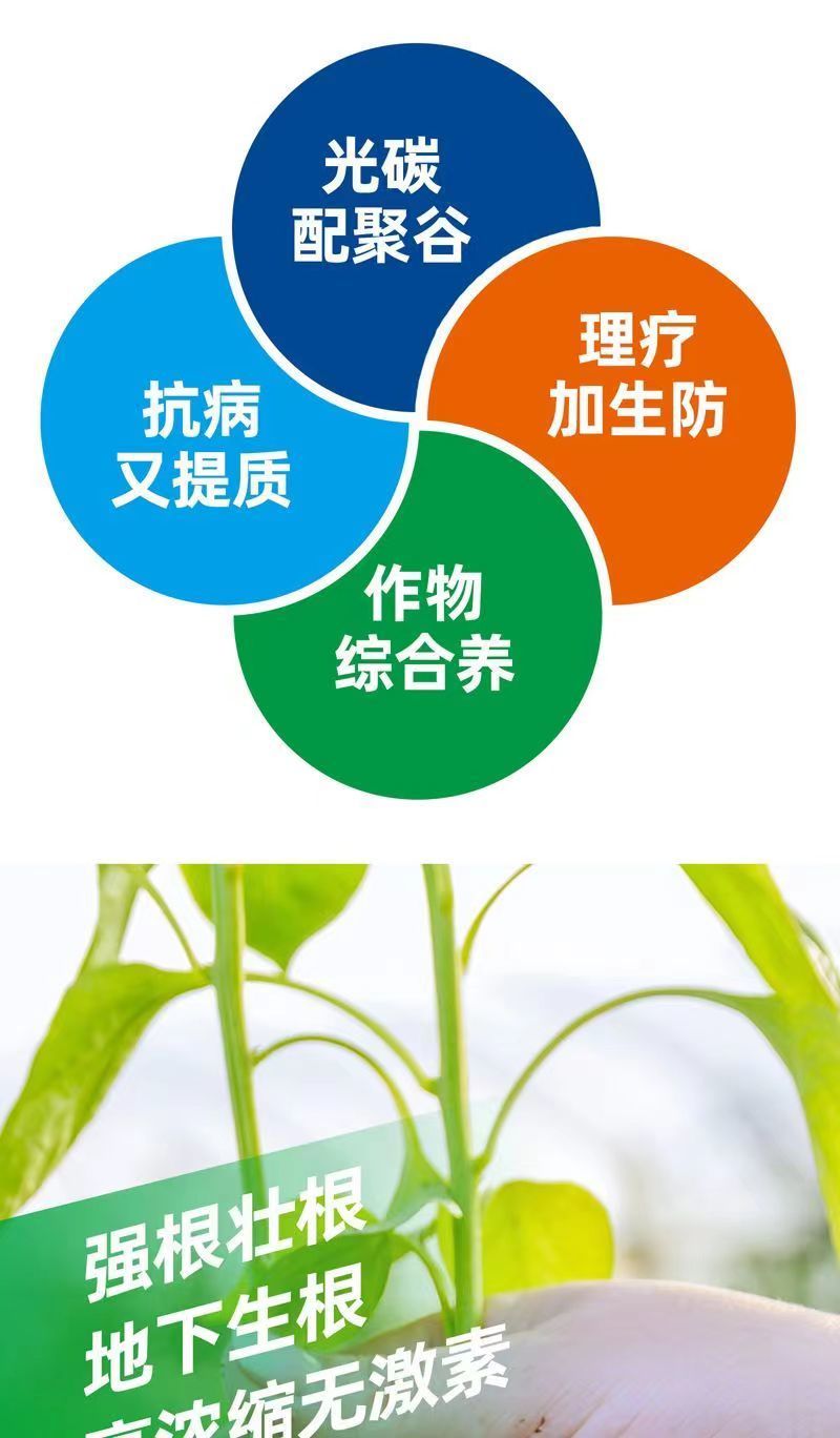 鱼腥草快速生根剂增嫩白折耳根催芽壮根增粗脆嫩早上市冲施肥