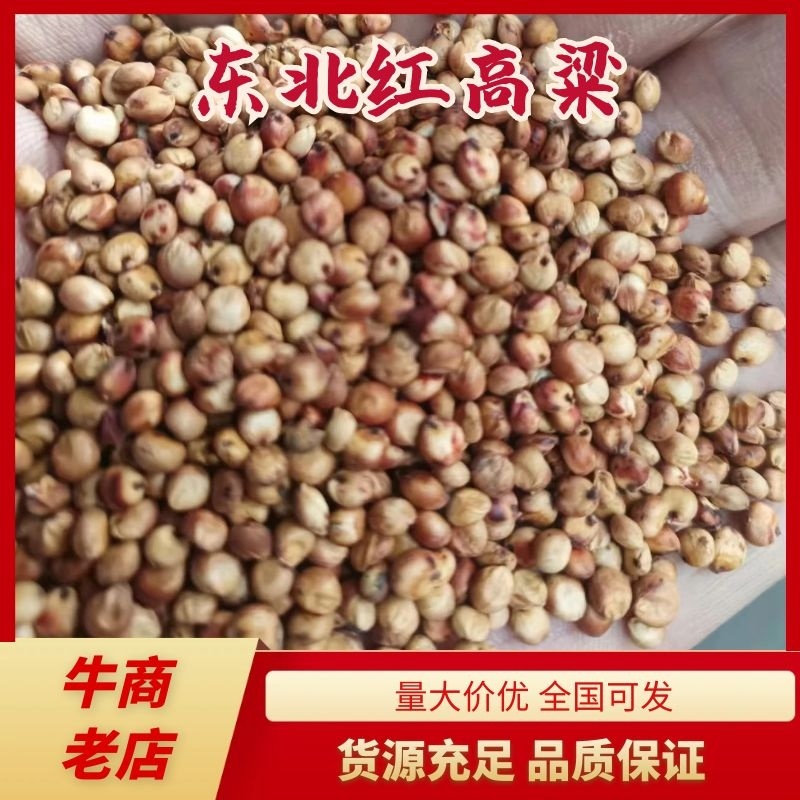 东北红高粱颗粒大品质保证量大优惠产地直发欢迎咨询