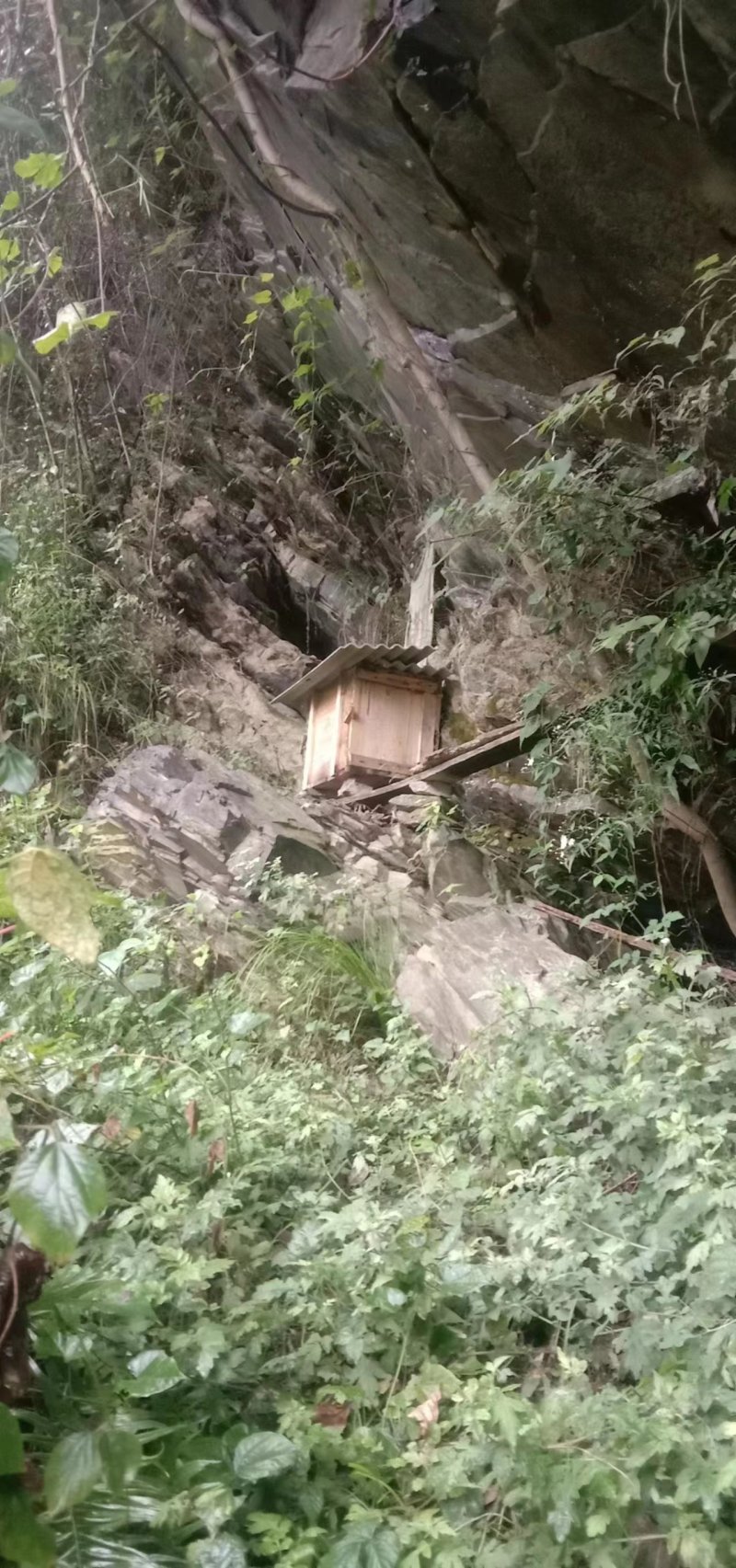 陕西野生土蜂蜜，货量充足品质保障，可视频看货！