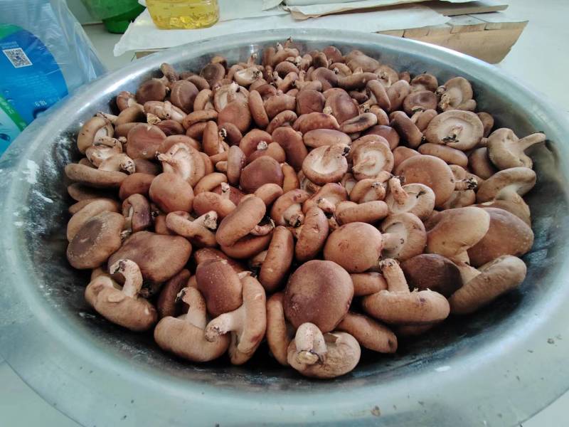 丰州牌无淀粉鸡精量大价优欢迎采购