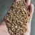 山东小麦对接面粉厂加工厂储备库大型批发商采购商