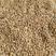 山东小麦对接面粉厂加工厂储备库大型批发商采购商