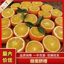 江西赣州脐橙，产地直发，货源充足量大从优欢迎来电咨询