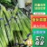金乡红帽蒜薹，，精品蒜苔1斤1把标准包，代发全国市场电商