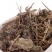 供应地摊饮料凉茶溪黄草茶，产地直发，保质保量，欢迎选购