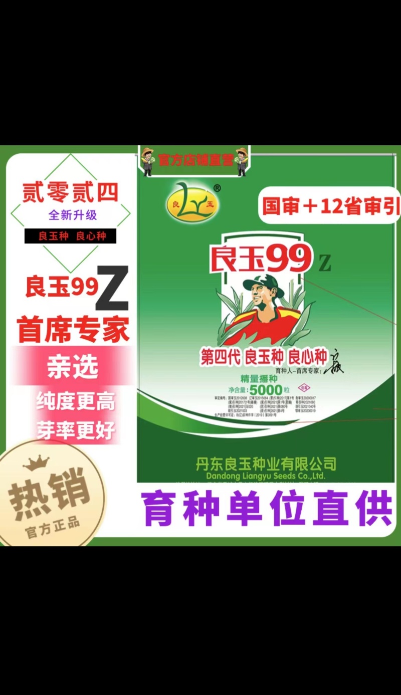 玉米种子丹东良玉99Z种子厂家直供抗倒抗病棒大产量高