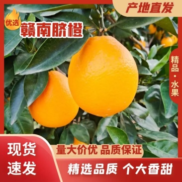江西赣南脐橙(实力代办)产地直发全国发货支持视频看货