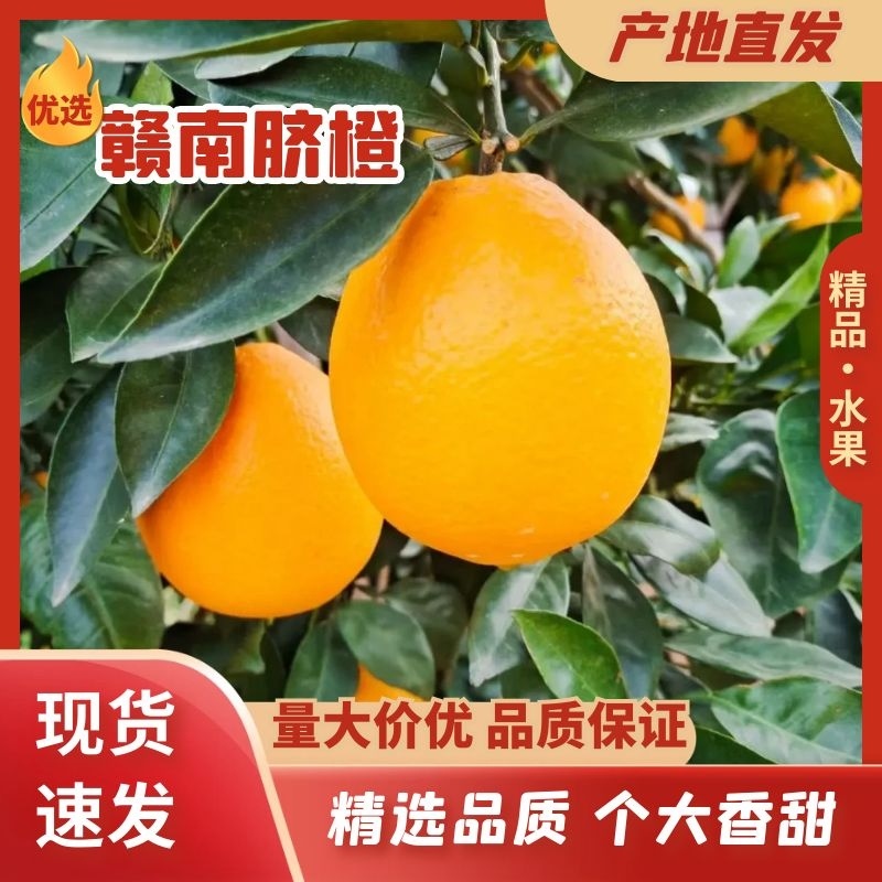 江西赣南脐橙(实力代办）产地直发全国发货支持视频看货