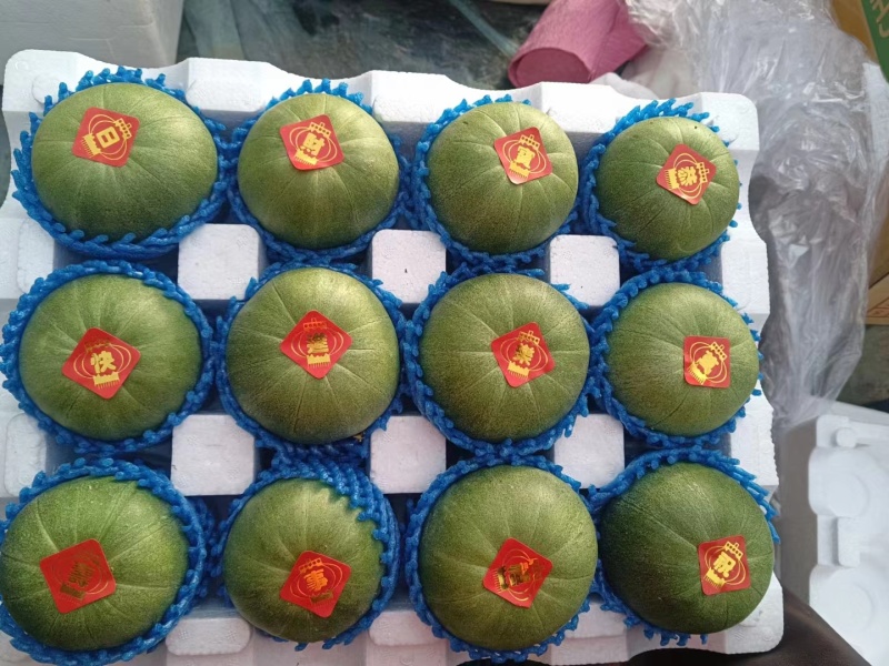 辽宁绿宝甜瓜，一手货源。对接市场，超市电商，一件代发