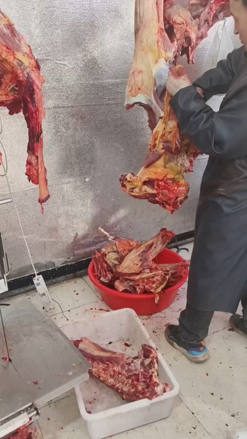 新疆优质牛肉，现货现发大量供应，品质保障可视频看货