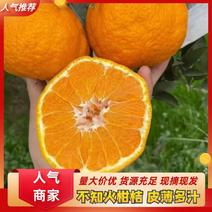 内江不知火柑橘丑橘自家种植看货定价全国可发欢迎来电