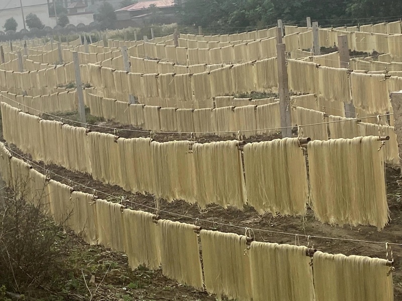新乡红薯粉条，产地直发，保质保量，欢迎各地老板选购