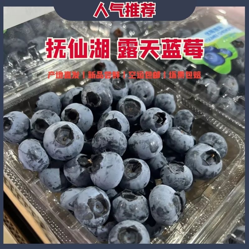 云南抚仙湖蓝莓顺丰空运基地直发一手货源