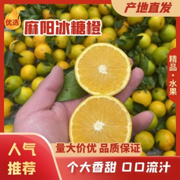 麻阳冰糖橙对接各大平台支持一件代发量大从优及场地提供