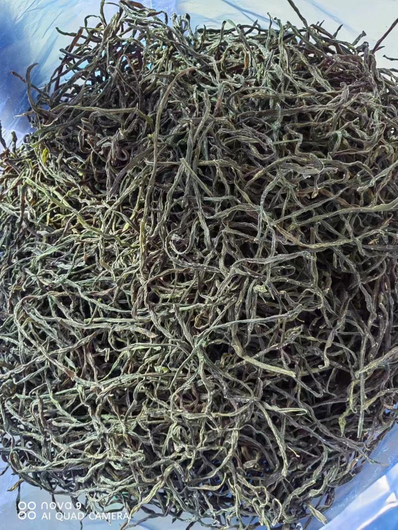 精品脱水干豆角，大量有货，产地直发，保质保量欢迎选购