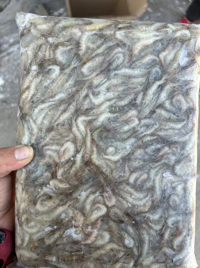 新鲜速冻小青虾冷冻河虾量大价优欢迎采购