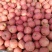 产地直销精品红富士苹果大量有货水分足口感甜欢迎咨询