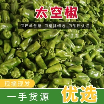 山东正宗太空椒大量上市,价格便宜,真实报价,欢迎电联咨询