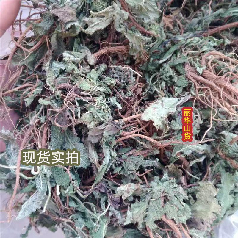 蛤蟆草癞头棵荔枝草新鲜货干货雪见草现挖炒鸡蛋泡茶干品