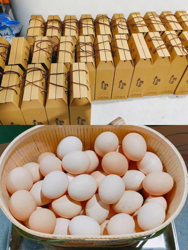 安徽肥西土鸡蛋质量好价格优常年有货欢迎老板前来采购