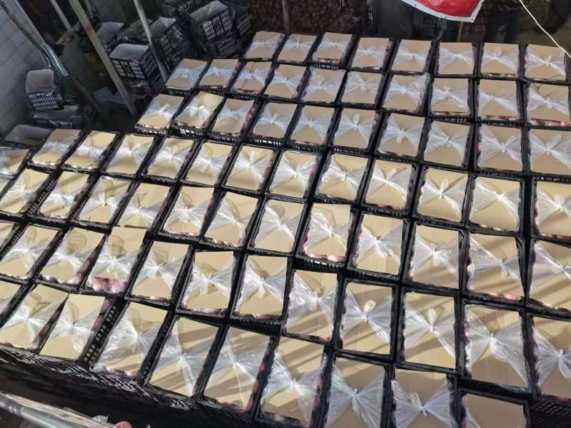 红富士苹果河南红富士大量上市一手货源量大从优！
