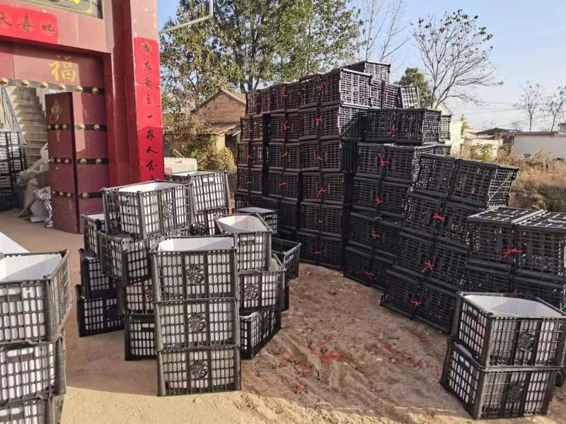 红富士苹果河南红富士大量上市一手货源量大从优！