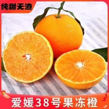【爱媛橙】四川爱媛38果冻橙皮薄多汁供应市场电商