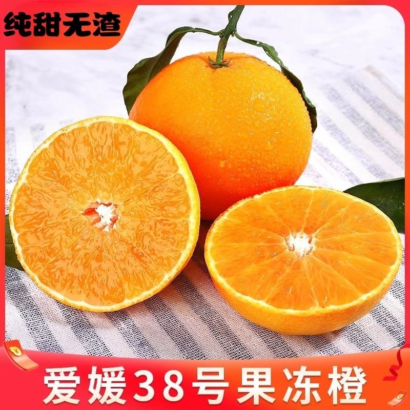 【爱媛橙】四川爱媛38果冻橙皮薄多汁供应市场电商