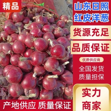 精品洋葱山东红皮洋葱大量供应产地直发品质保障量大优惠