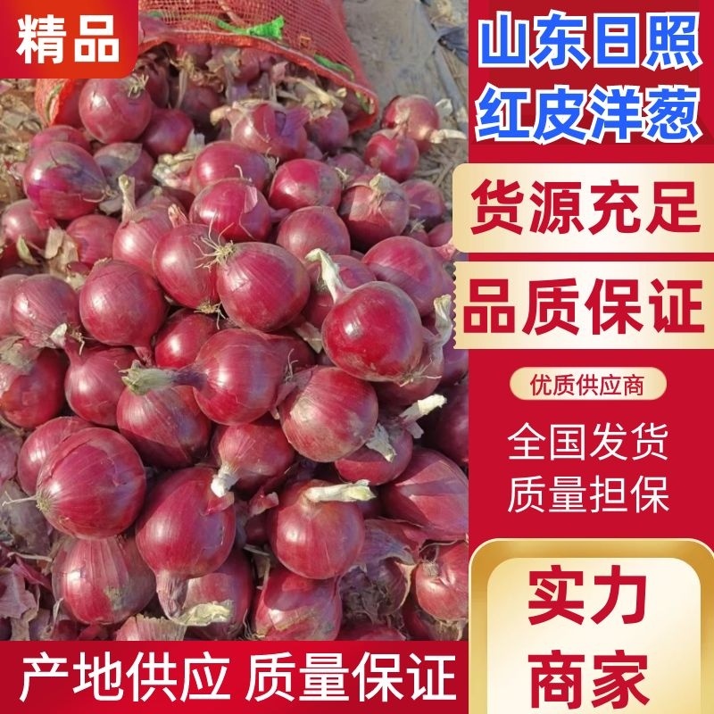 精品洋葱山东红皮洋葱大量供应产地直发品质保障量大优惠