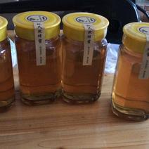 湖北精品农家荆条蜂蜜，大量供货自家养殖欢迎来电咨询