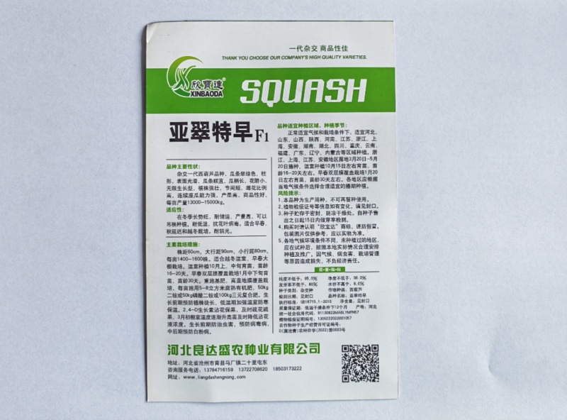 亚翠特早西葫芦种子连续做瓜能力强产量高耐储运耐低温