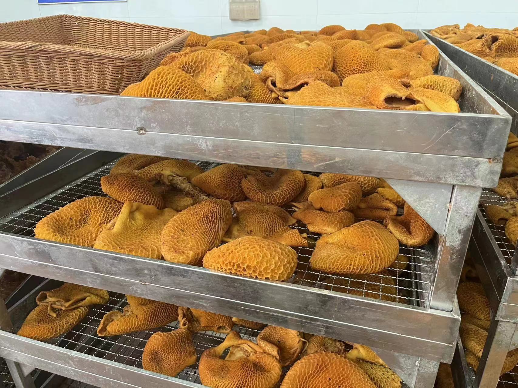 羊驼剪绒专用操作台:不锈钢可升降台面(高度65–110cm可调),两侧带液压驱动保定栏,台面铺防滑橡胶垫,顶部配备冷光源LED无影灯,右侧置剪绒机与消毒液喷雾器 羊驼标准化剪绒操作台实景图